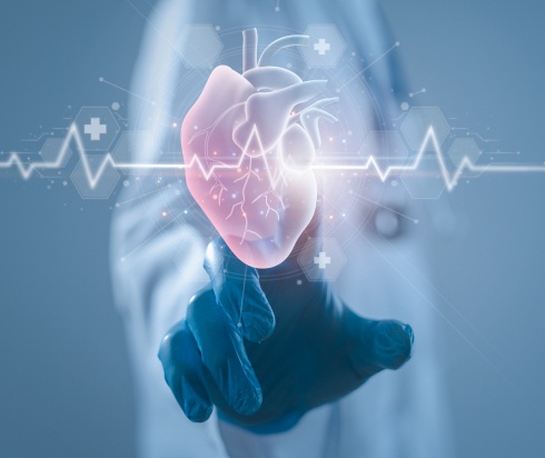 illustration of heartbeat and heart organ