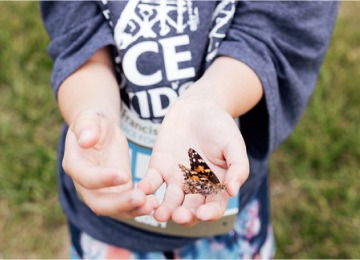 butterfly sitting on a child's hand