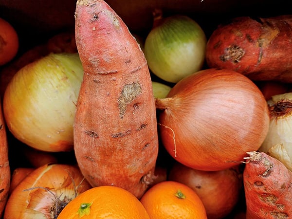 Assortment of vegetables that would be found at a farmers market.